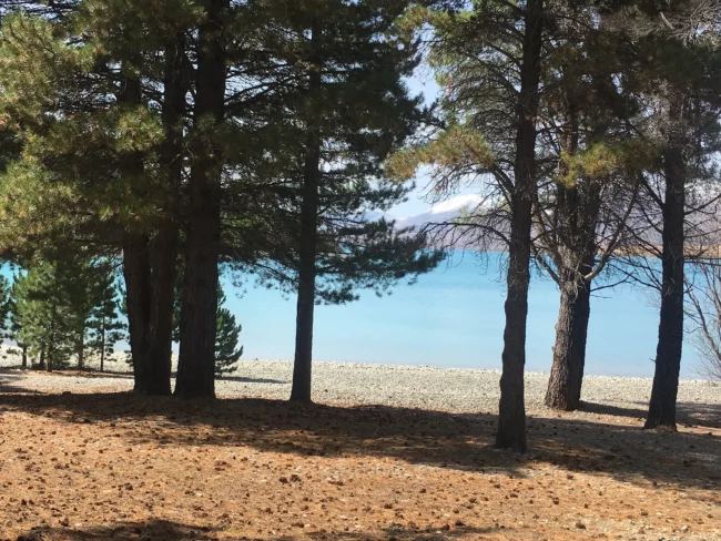 illustration-voyage-van